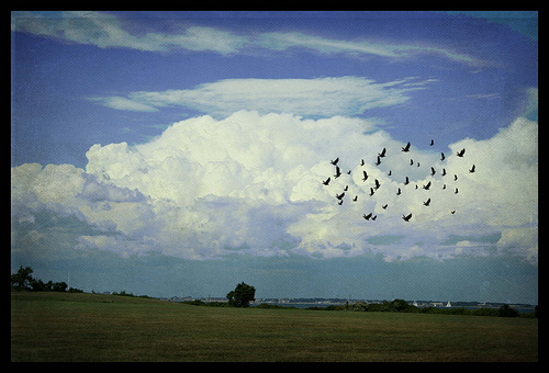 "Θλίψη" από την Rose Aubut, flickr