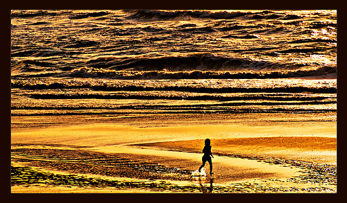 Φωτό του  tomelst, flickr