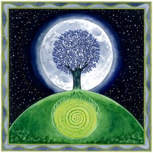 midnight tree by Sue Wookey