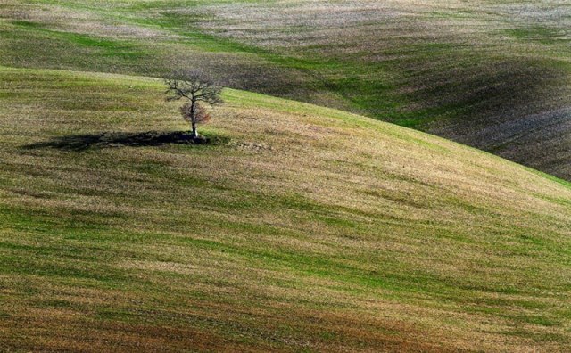 "Απλότητα" από τον Edmondo Senatore