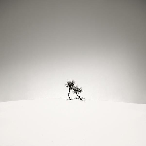 "Λευκή ιστορία' από τον Ebru Sidar.