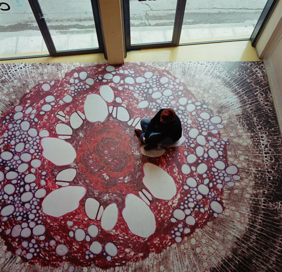 Art: Δήμητρα Μαλταμπέ, 'Extra Small"