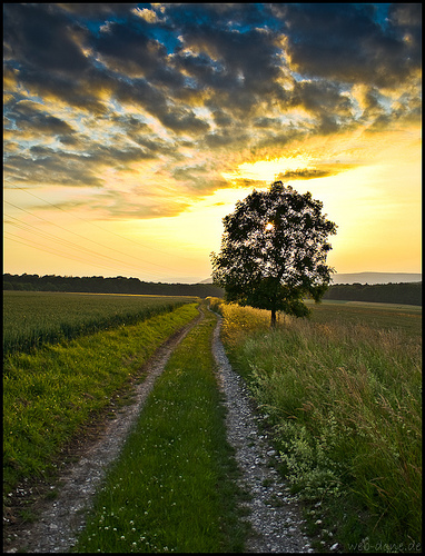 Photo: Alexander Steinhof